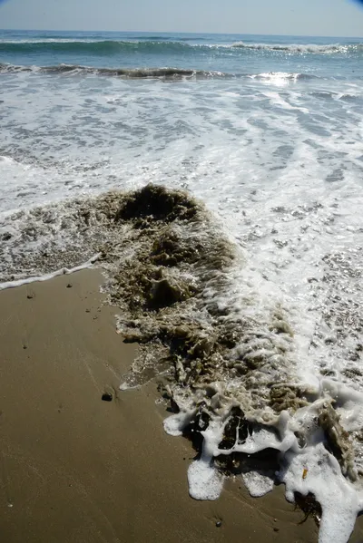 DSC_2539 (Large).JPG